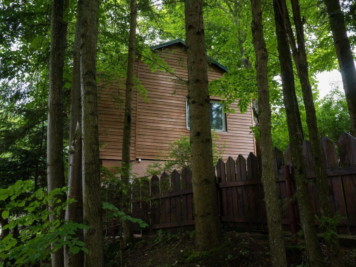 Domki Nad Solina Chrewt Exterior foto